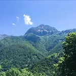 Cassiau