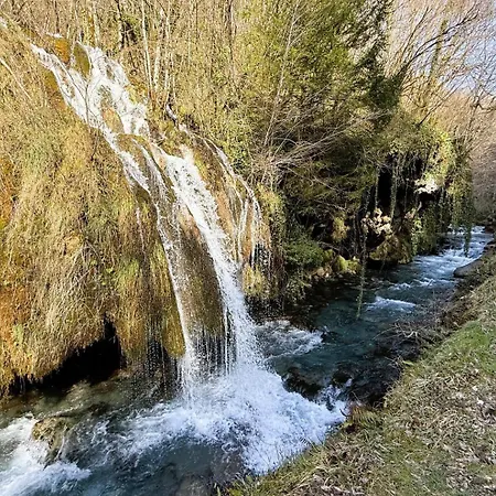 Cassiau * Aydius