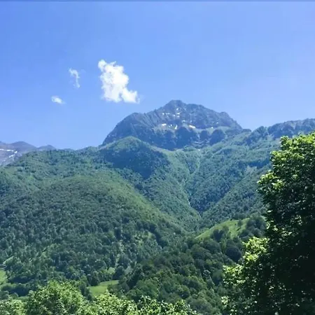 Cassiau